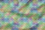 VORBESTELLUNG * Dragonscale* - Eigenproduktion Bunt
